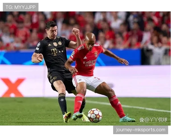 本菲卡赛季首战技术统计亮眼，展现坚实基础与战术深度